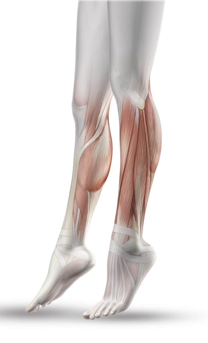 TENDINOPATÍA AQUÍLEA fisioterapia TENDINOPATÍA AQUÍLEA tratamiento TENDINOPATÍA AQUÍLEA ejercicios para TENDINOPATÍA AQUÍLEA