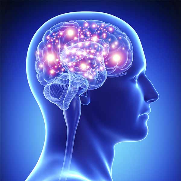 Fisioterapia Neurológica